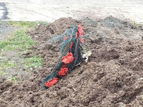 Землю с траурным венком для газона привез подрядчик на юге Сахалина