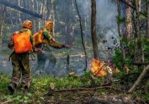 В девяти районах Забайкалья 24 октября сохраниться высокий класс пожарной опасности