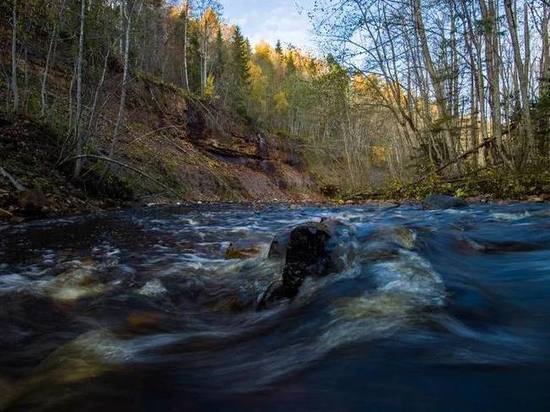 Губернатор Ленобласти показал экотропу с водопадами и подземной рекой