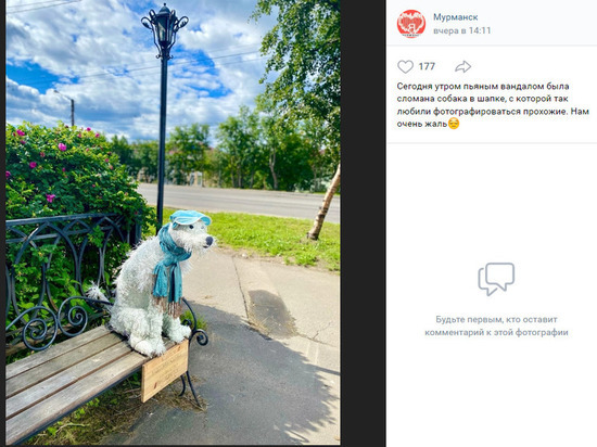 В Мурманске собака в шапке пострадала из-за озверевшего горожанина