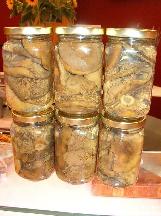 Маринование рыжиков холодным способом: самый простой вариант заготовки вкуснейших грибов