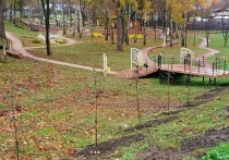 В Гагаринском парке, расположенном на территории города Плавска, появилась рябиновая аллея и посадки жёлтой акации