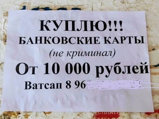Полиция Владимира задержала подозреваемого в совершении мошенничества