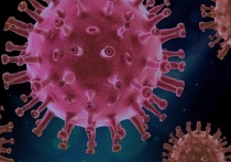 За прошедшую неделю заболеваемость коронавирусом в России снизилась на 40,7%, а заболеваемость на 100 тысяч жителей, в свою очередь, сократилась на 16,5%, чем сообщает федеральный оперативный штаб по борьбе с инфекцией