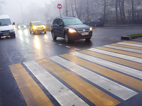 В Калининградской области начали проверку готовности к содержанию дорог зимой