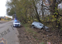 В Богородицке водитель внедорожника съехал в кювет и врезался в дерево
