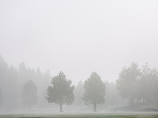 Туман и гололедица ожидаются в Ленобласти во вторник