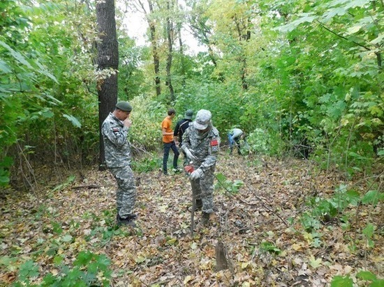 Почти 300 бомб времен ВОВ нашли в донском регионе с начала года