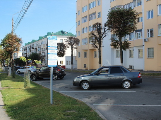 Чебоксары заняли пятое место в рейтинге развития платного паркинга в городах России