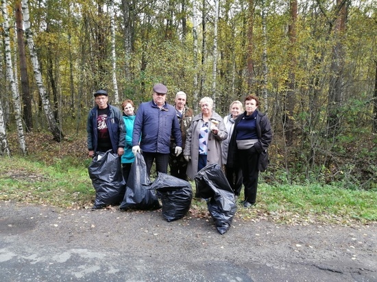 Из пензенского леса вывезли более 60 кубов мусора