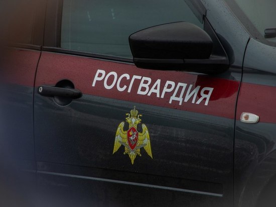 В Пензе задержали вора яблочных гаджетов