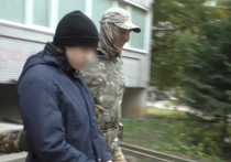 СК РФ сообщил об аресте 17-летнего жителя Ульяновска, в отношении которого возбудили уголовное дело в связи с предполагаемой подготовкой вооруженного нападения на школу