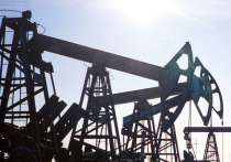 Глава Международного энергетического агентства Фатих Бироль назвал необходимый миру объем российской нефти