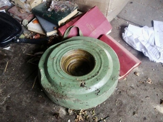 Учебные мину и гранату нашли в мусоре на сортировочном заводе в Чите