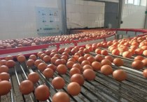 Племенной птицеводческий завод «Хабаровский» производит яйцо и мясо птицы с 1973 года