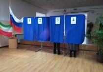 В муниципалитетах Забайкалья с численностью населения менее 10 тысяч человек намерены ввести мажоритарную избирательную систему