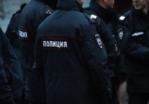 Старшеклассник из Волгоградской области задержан полицией за покушение на директора школы
