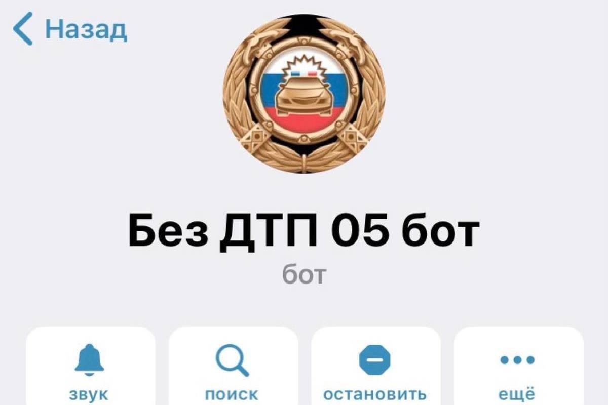 Телеграм запущен. Телеграм бот ГИБДД. В Дагестане запустили Telegram-бот для наказания нарушителей ПДД. МВД Дагестана телеграмм. Утро Дагестана телеграмм.