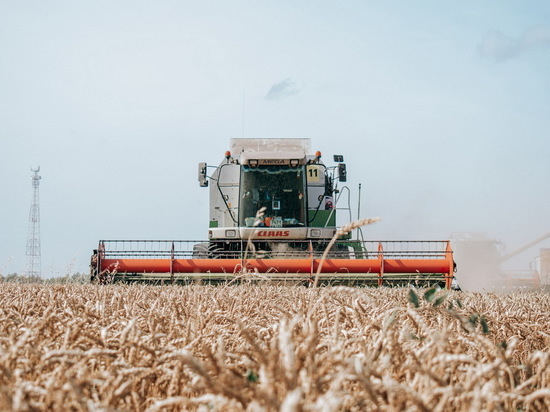 Аграрии Чувашии собрали в 2022 году рекордный урожай зерна