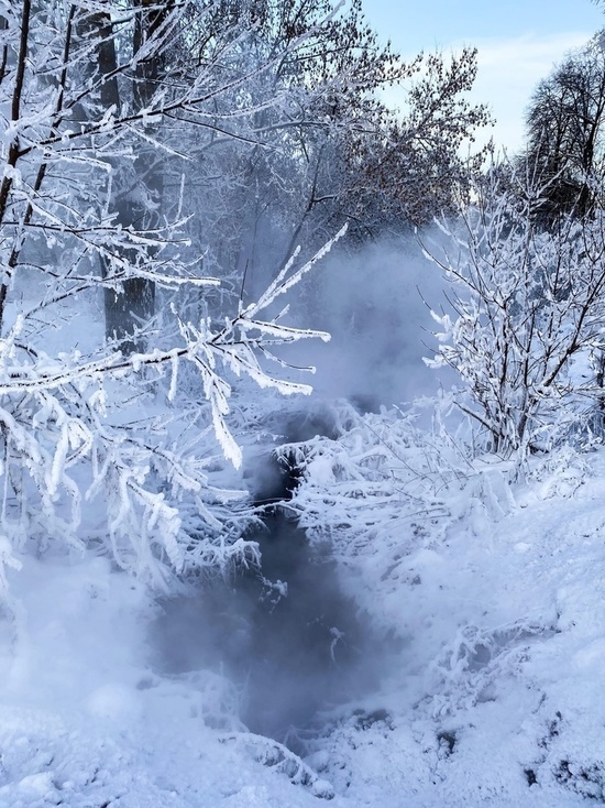 В Тверскую область может прийти аномально холодная зима