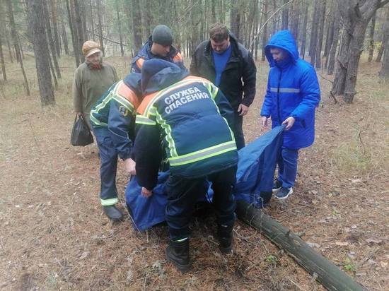 В Балашовском районе из леса спасена женщина со сломанной ногой
