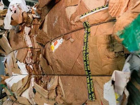 В Мурманской области собрали 104 тонны картона