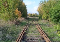 Луганская железная дорога возобновила движение некоторых маршурутов пригородных поездов, сообщили на предприятии