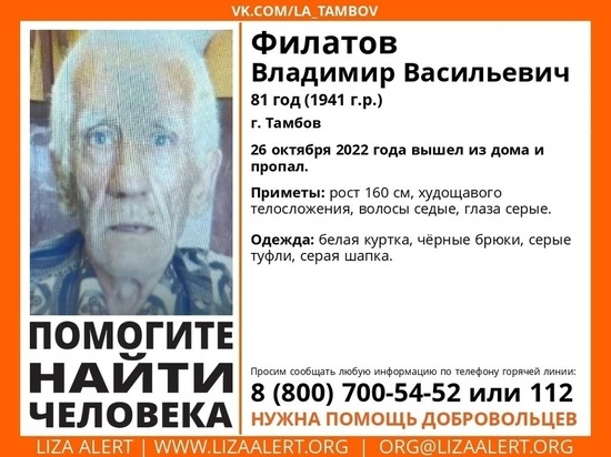 В Тамбове пропал 81-летний мужчина