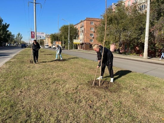 В Астрахани высадили 160 новых деревьев