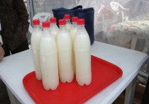За девять месяцев этого года в Республике Бурятия было исследовано 855 проб молочной продукции