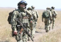 Российские войска в ходе специальной военной операции способны полностью разгромить вооруженные силы Украины