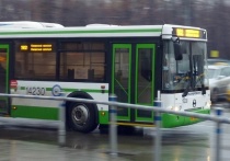 Новый автобусный маршрут запустят в подмосковном Красногорске с 1 ноября