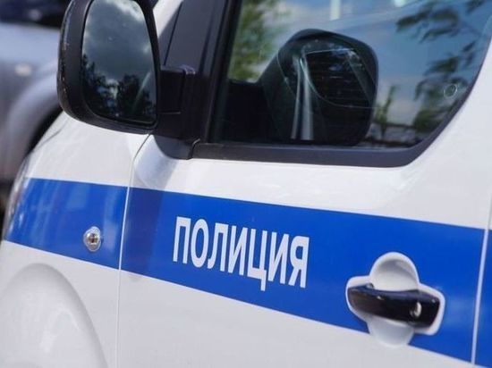 В омской полиции опровергли информацию из соцсетей о личности напавшего на 81-летнюю старушку
