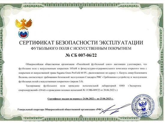 Вздувшееся футбольное поле в сквере Волкова Калуги сертифицировано РФС