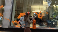 Активисты облили краской салоны с дорогими автомобилями в Лондоне: видео 