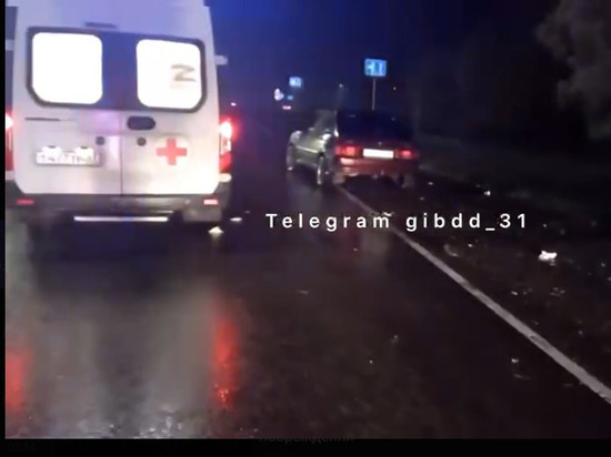 В Белгородской области мужчина решил пройтись по проезжей части и попал под колеса авто