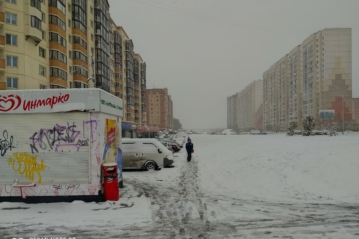 28 градусов. Новосибирск зимой. Фотографии Новосибирска 2022. Зима рынок в Новосибирске. Новосибирск зимой фото.