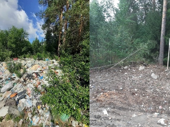 Вблизи поселка Карелии убрали многолетнюю свалку мусора