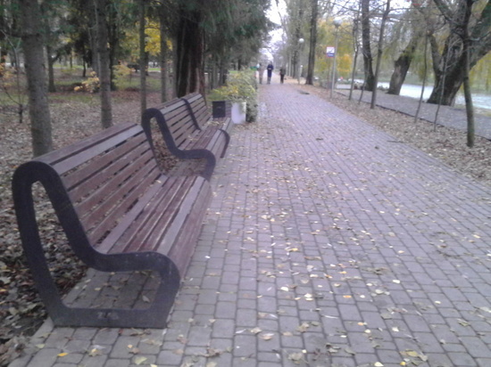 Белгородка попросила Гладкова подарить ее семье городскую лавочку из Театрального сквера