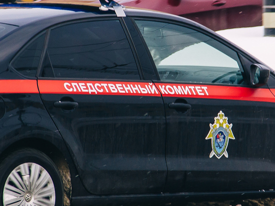 В Скопине Рязанской области в гараже обнаружили труп 28-летнего мужчины