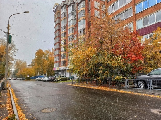 Гололедица и мокрый снег возможны в Томской области 29 октября