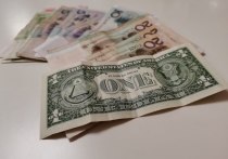 По данным Центрального Банка РФ, 29 октября 2022 года курс доллара США составляет 61,53 рубля, курс евро 61,13 рубля, китайский юань - 8,43 рубля