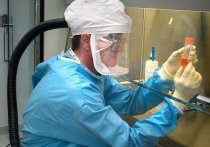 В Юго-Восточной Азии, а также в Австралии стремительно распространяется новые вариант коронавируса ХВВ