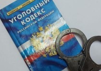 Прокуратура Приморского края сообщила, что подозреваемый в убийстве двух сторожей заключен под стражу