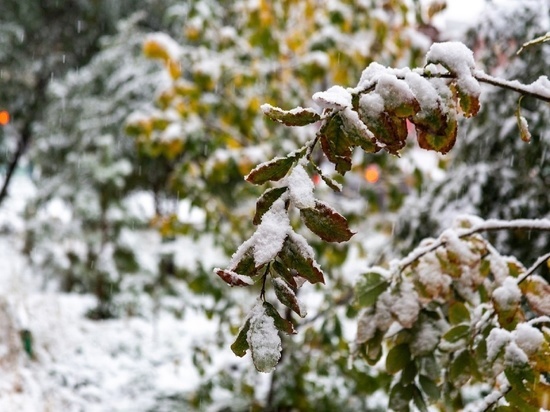 Небольшой снег спрогнозировали синоптики в Омской области на 29 октября