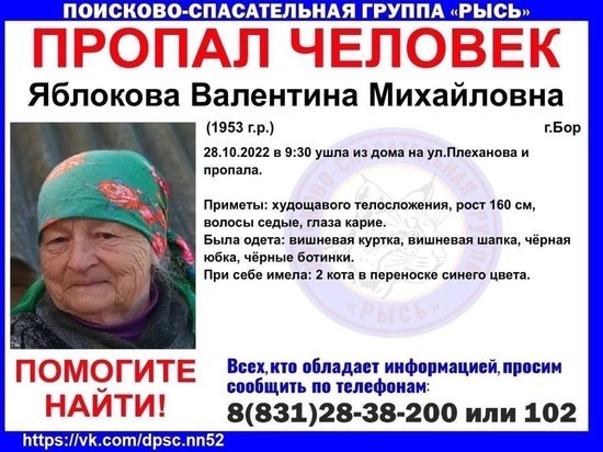В Нижнем Новгороде пропала пожилая женщина с 2 котами