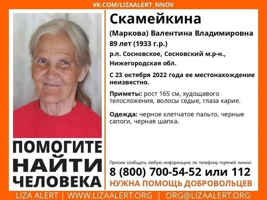 Поисковый отряд "ЛизаАлерт" объявил поиск пропавшей пожилой женщины