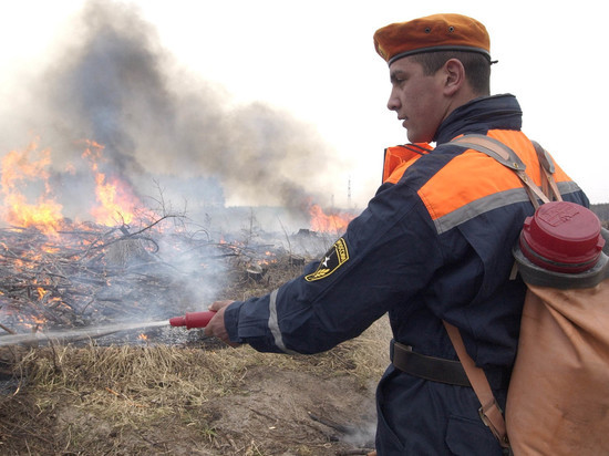 В Мазановском районе Приамурья из-за лесных пожаров  введен режим ЧС