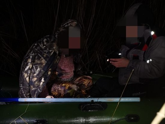 Двое мужчин забрались в камыши Ладожского озера и не смогли оттуда выбраться