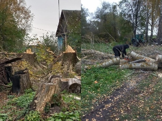 Нарубили дрова и починили крышу семьям мобилизованных в Орловском округе